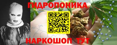 Альфа ПВП Будённовск