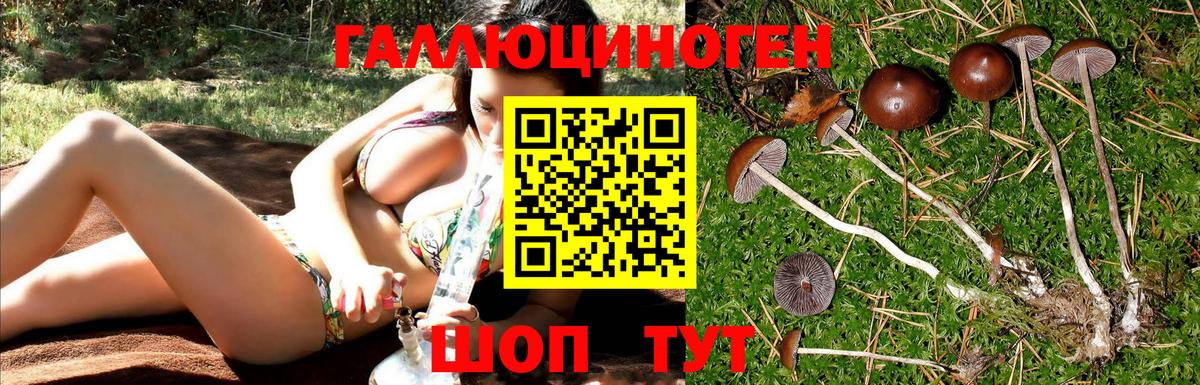 Каннабис Калининград