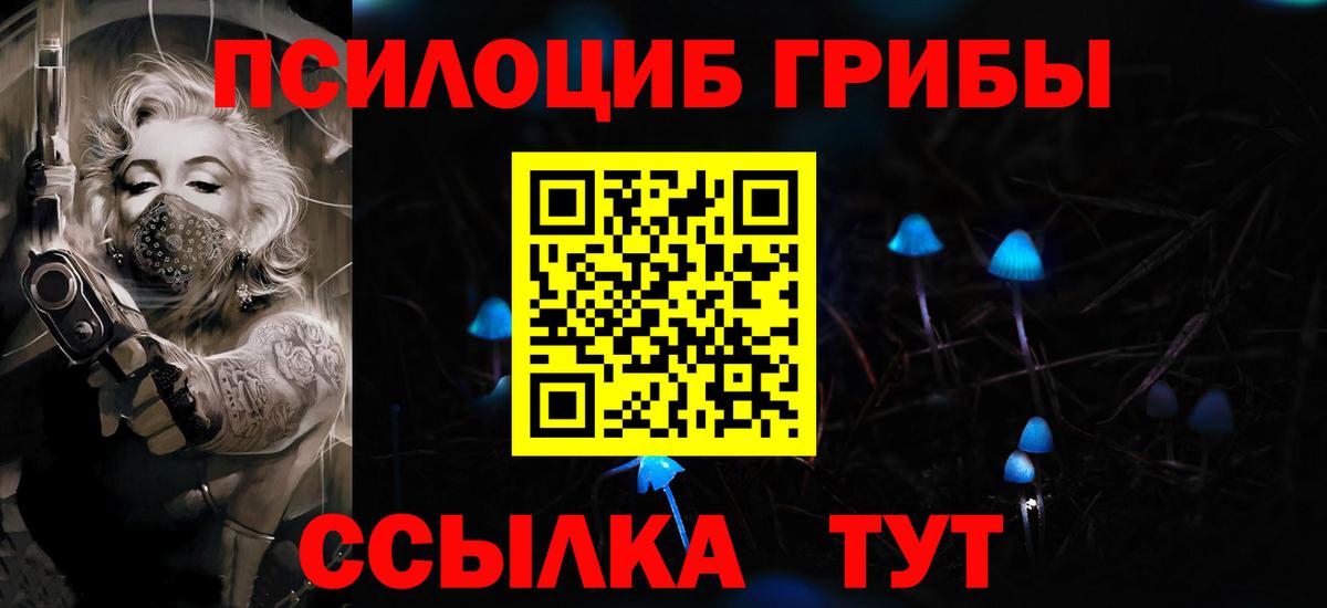 Галлюциногенные грибы Cubensis Калининград