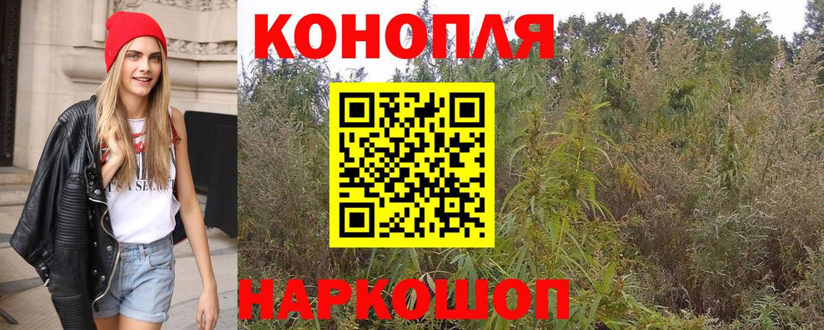 Бошки марихуана семена  Бошки марихуана план  Калининград  Канабис конопля  Вход с VPN  Марихуана LSD WEED 